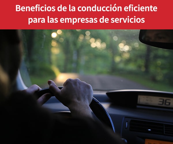 Gestión de field services