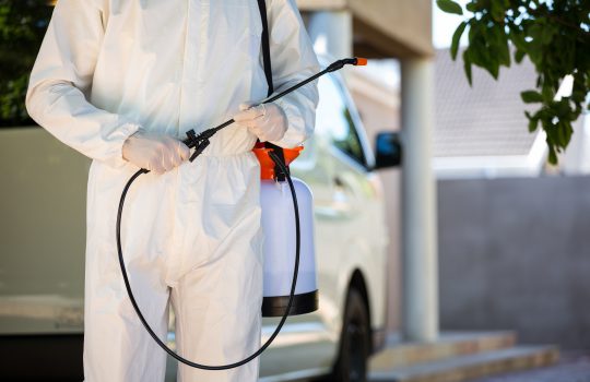 pest-control