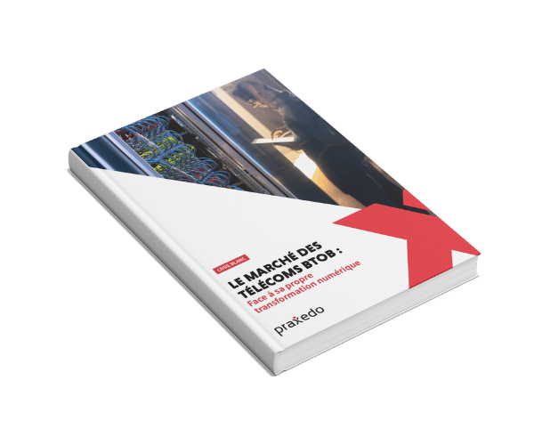 Livre blanc télécoms btob - praxedo
