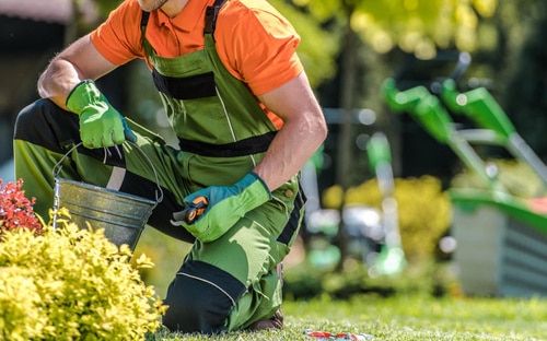 lawn-care-business-software