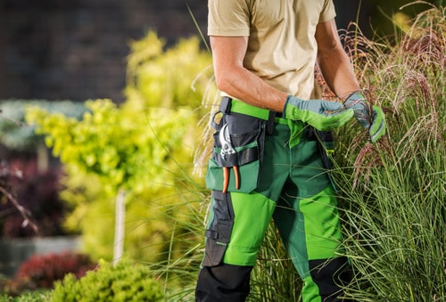 landscape-company-software