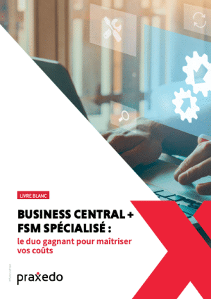livre blanc praxedo business central